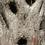 Profilo utente