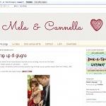 Mela e cannella