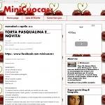 MiniCuoca91