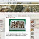 Pasticcia con me