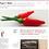 Pepper's Matter