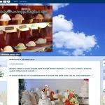 Dolcimanontroppo