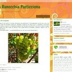 La Ranocchia Pasticciona