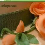 Nonsolopanna