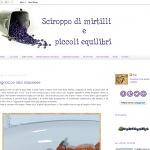 Sciroppo di mirtilli e piccoli equilibri